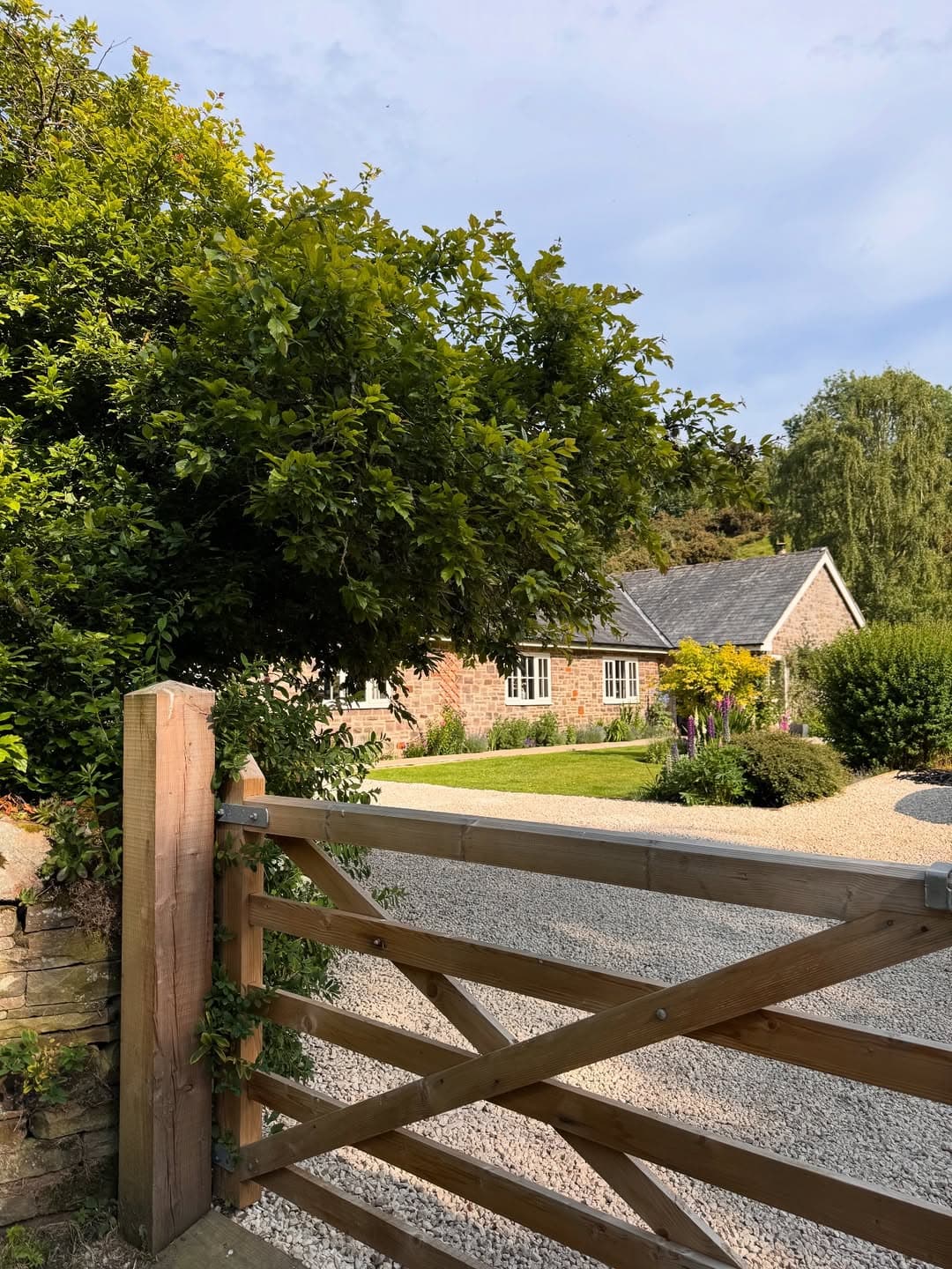 Recent captures 📸Mostly sunny shots going on here because oh how we have been blessed with that (1).jpg